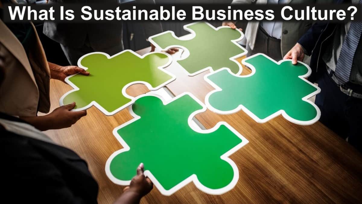 What Is Sustainable Business Culture? - Business Leadership Today