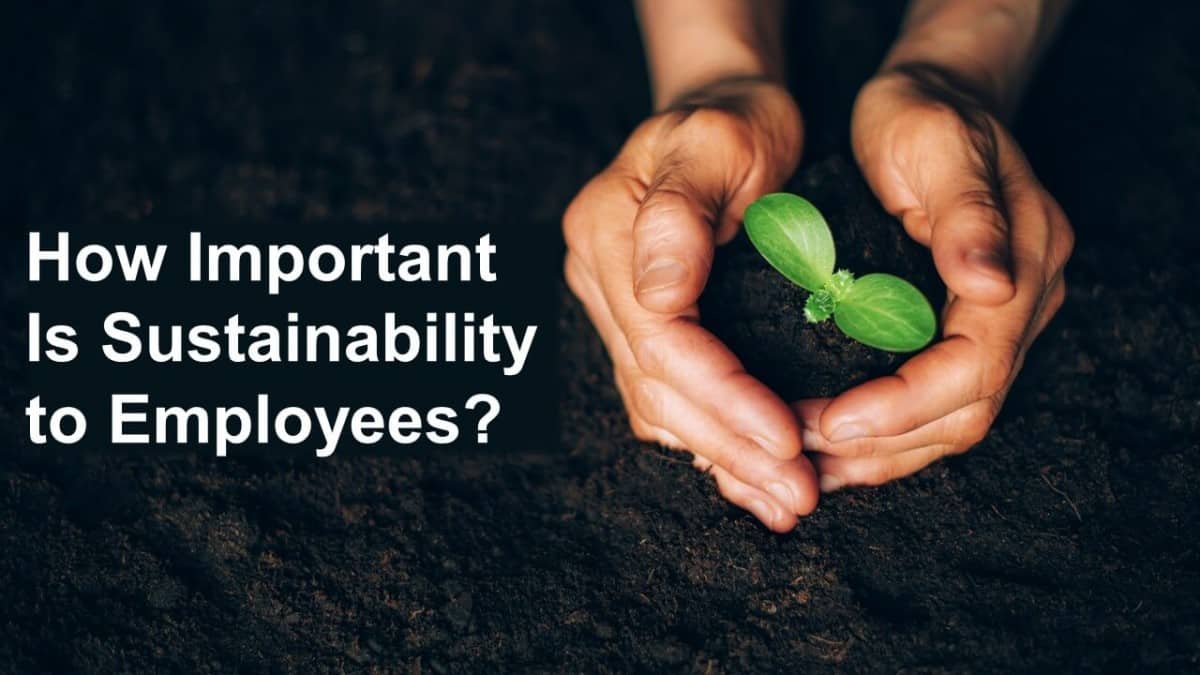 How Important Sustainability Is To Employees Business Leadership Today