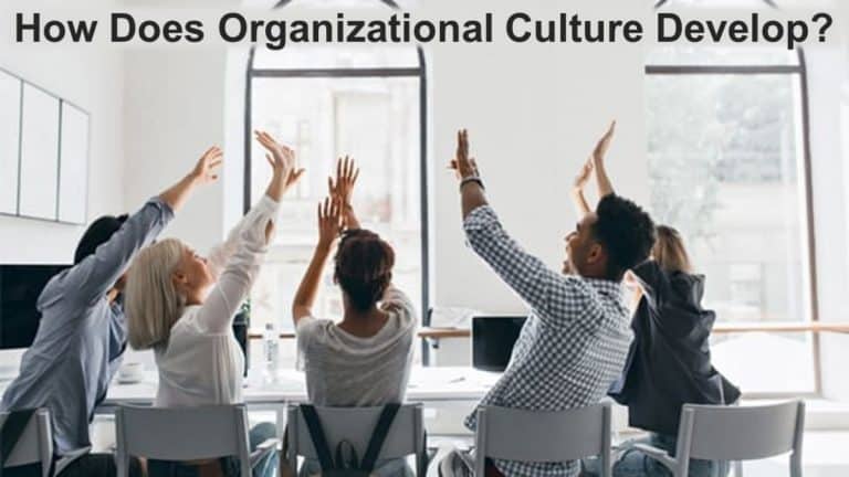 How Does Organizational Culture Develop