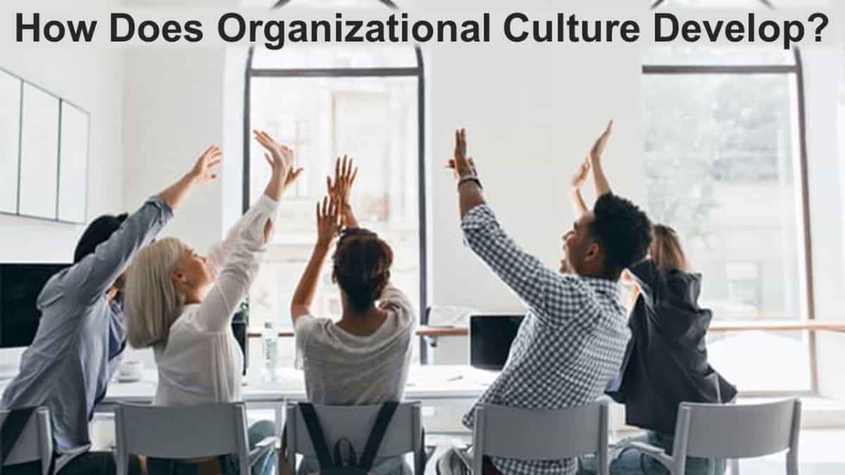 How Does Organizational Culture Develop Business Leadership Today