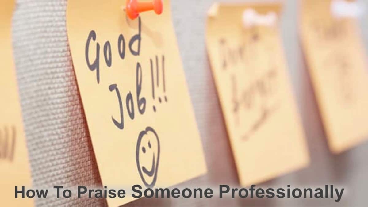 How To Praise Someone Professionally (6 Tips)