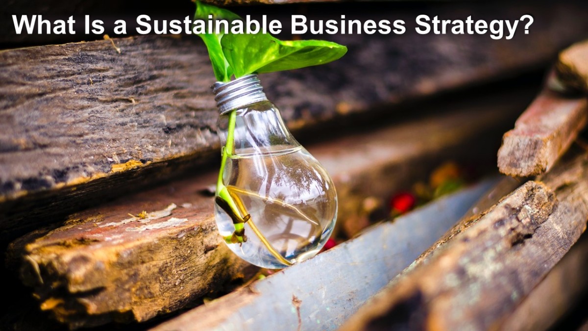 What is a Sustainable Business Strategy?