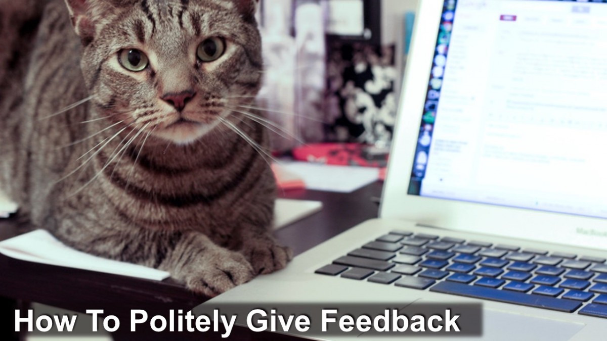 How To Politely Give Feedback (6 Steps)