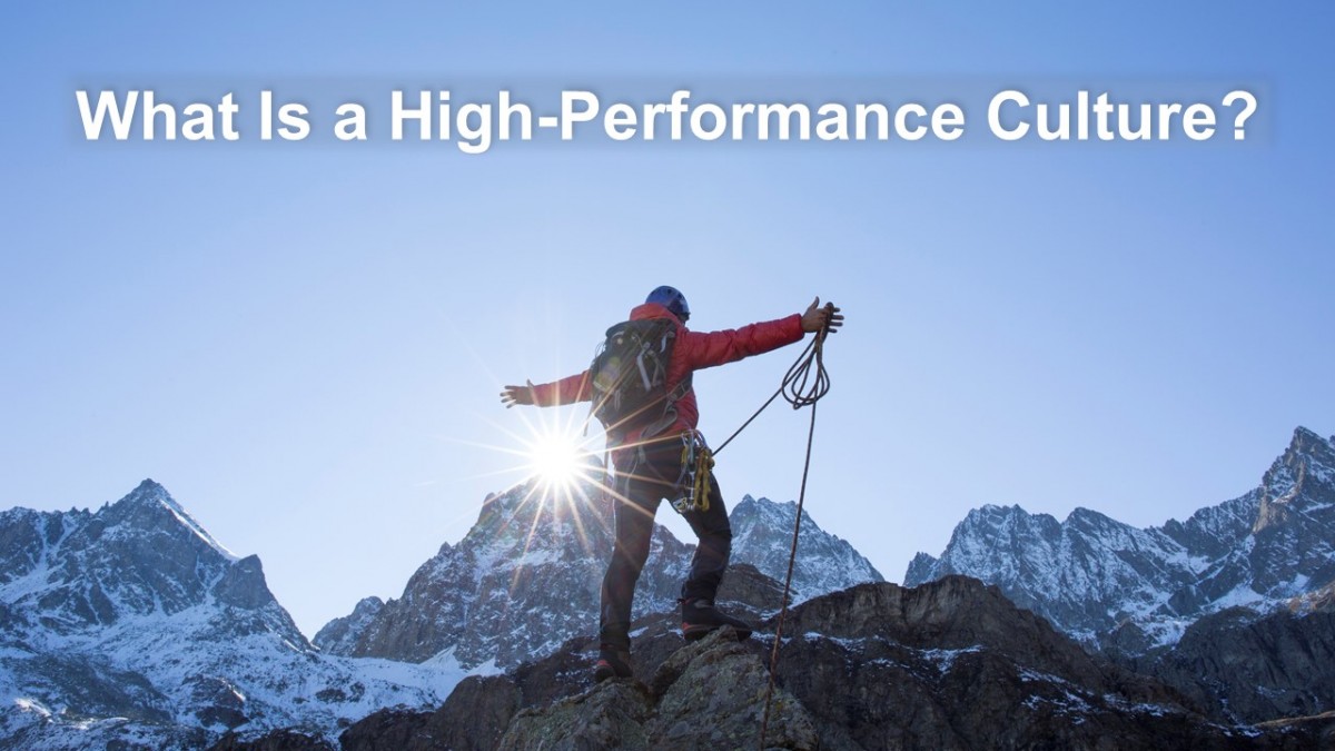 What Is a High-Performance Culture?