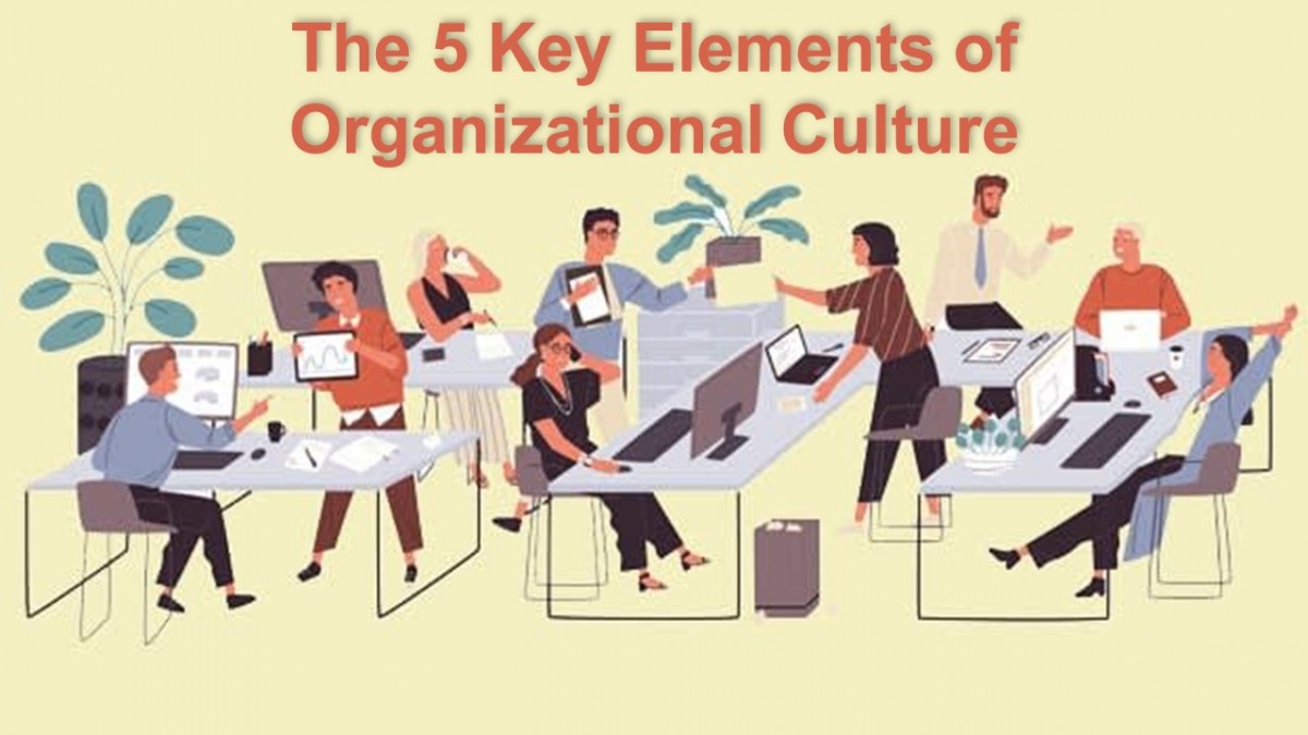 What Is Organizational Culture