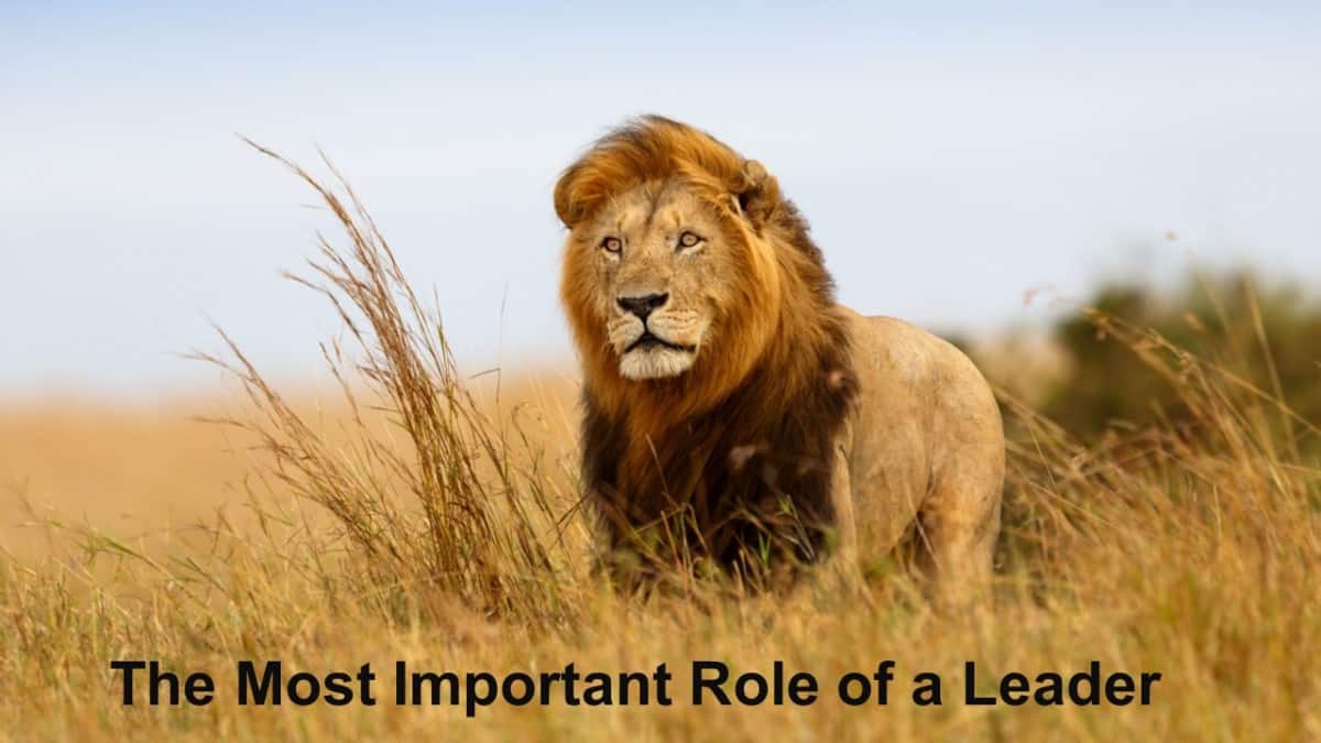 The Most Important Role of a Leader - Business Leadership Today